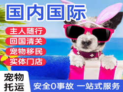 滨海航空物流国际宠物托运 【国
